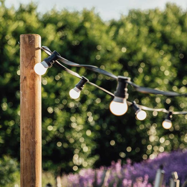 Lichterketten Glühbirnen 25m, 50 Birnen